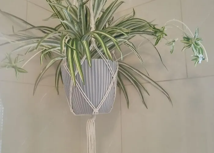 El Roi Guest Accommodation 沃特福德